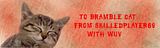 BrambleCatGift.jpg image by peaceocake